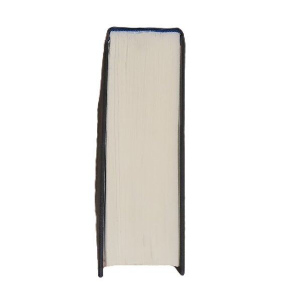 The Swarm : A Novel Hardcover Frank Schatzing HCDJ - Picture 4 of 8